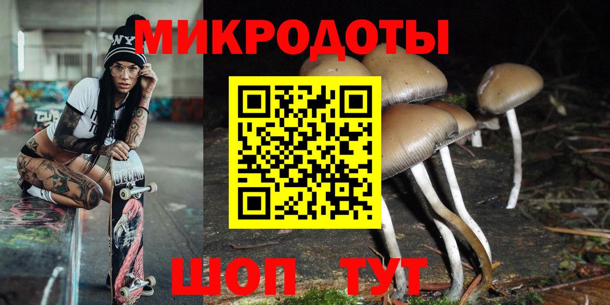 Псилоцибиновые грибы Psilocybe Урай