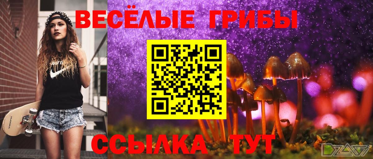 Псилоцибиновые грибы прущие грибы  Вход с VPN  Псилоцибиновые грибы прущие грибы  Урай 
